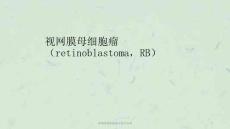 视网膜母细胞瘤影像学表现ppt课件
