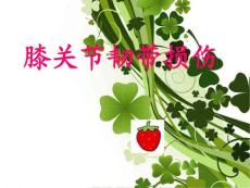 膝关节韧带损伤课件