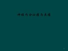 神经内分泌癌与类癌课件