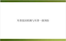 耳聋基因检测与耳聋一级预防课件