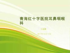 小讲课慢性鼻炎课件