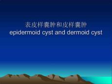 表皮样囊肿和皮样囊肿课件
