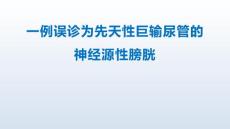 小膀胱，膀胱輸尿管返流