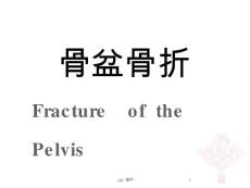 骨盆骨折-课件