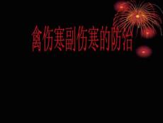 禽伤寒副伤寒的防治