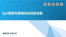 IgA肾病与肾病综合征的关联