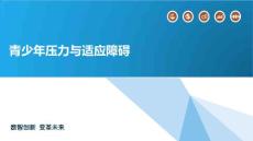 青少年压力与适应障碍