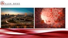 《第一節物質運輸的載體》PPT課件(黑龍江縣級優課)-七年級生物課件