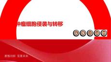 脊柱肿瘤细胞侵袭与转移