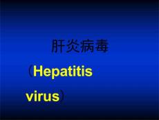 肝炎病毒-课件