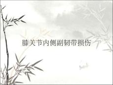 膝关节内侧副韧带损伤
