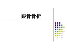 跟骨骨折.ppt