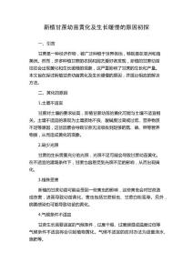 新植甘蔗幼苗黄化及生长缓慢的原因初探