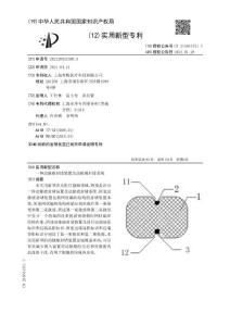 一种动脉瘤封堵装置及动脉瘤封堵系统