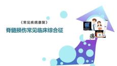 脊髓损伤常见临床综合征
