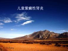 儿童紫癜性肾炎-课件