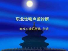 职业性噪声聋诊断标准ppt课件