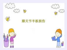 膝关节半板损伤课件