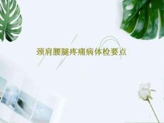 颈肩腰腿疼痛病体检要点课件