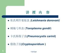 杜氏利什曼原虫刚地弓形虫卡氏肺孢子虫隐孢子虫课件