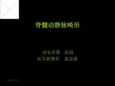 脊髓血管畸形-课件