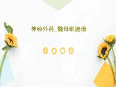 神经外科髓母细胞瘤课件