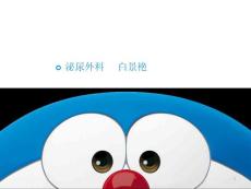 附睾炎的护理-课件
