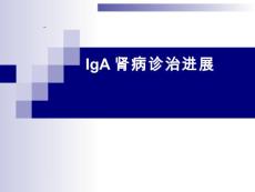 IgA肾病诊治进展