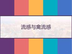 流感与禽流感课件