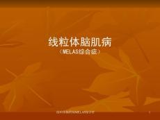 线粒体脑肌病MELAS综合症-课件