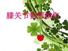 膝关节韧带损伤课件