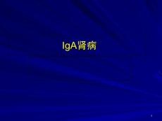 IgA肾病教学课件