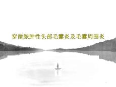 穿凿脓肿性头部毛囊炎及毛囊周围炎课件