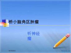 听神经鞘瘤课件