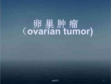 卵巢肿瘤【妇科】-课件