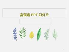 宫颈癌课件