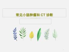 常见小肠肿瘤和CT诊断课件