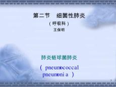 大叶性肺炎课件