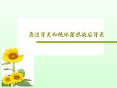 急性肾炎和链球菌感染后肾炎课件