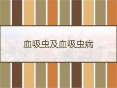 血吸虫及血吸虫病课件