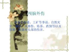 颅脑外伤课件