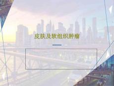 皮肤及软组织肿瘤课件