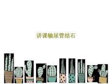 讲课输尿管结石课件