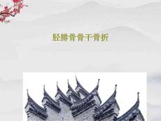 胫腓骨骨干骨折课件