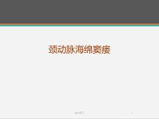 颈内动脉海绵窦瘘-课件
