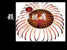 颈肩腰腿痛颈肩腰腿痛康复课件