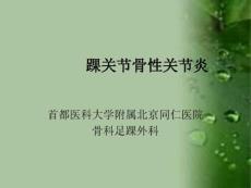 踝关节骨性关节炎课件