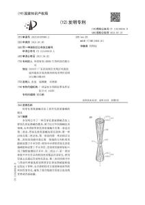 胃穿孔修复器械及加工胃穿孔修复器械的模具