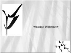 抗高血压抗高血压抗高血压抗高血压（48页）