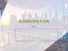 血清阴性脊柱关节病课件